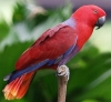 assets/images/avatars/ksu1281629084.jpg