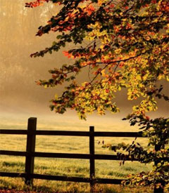 Осенняя пора