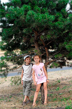 Проект &laquo;Прогноз погоды в феврале 2011г.&raquo;