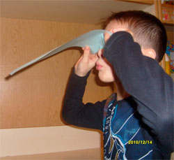 Проект &laquo;Почему птицы летают?&raquo;