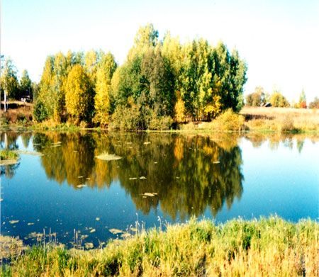 Проект &laquo;Маленькая капелька большого мира&raquo;