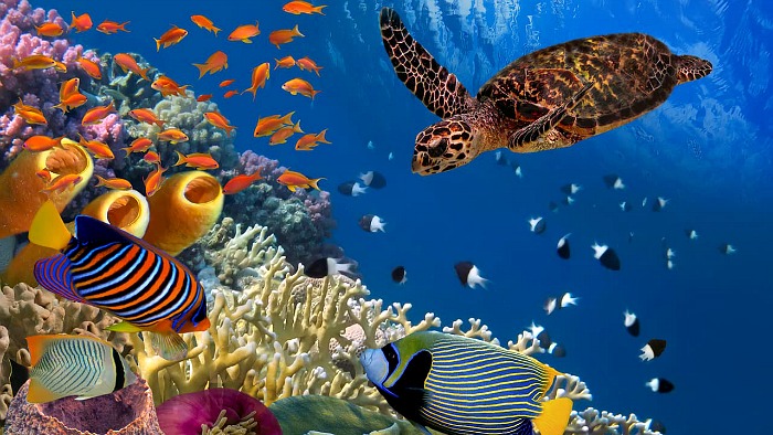 Отдых с ребенком в Египте доставит удовольствие