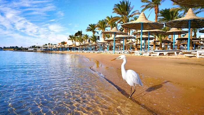 Остановили выбор на Хургаде.