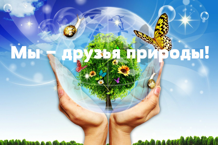 Проект в детском саду «Мы – друзья природы!»