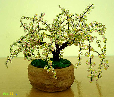 Персиковое дерево