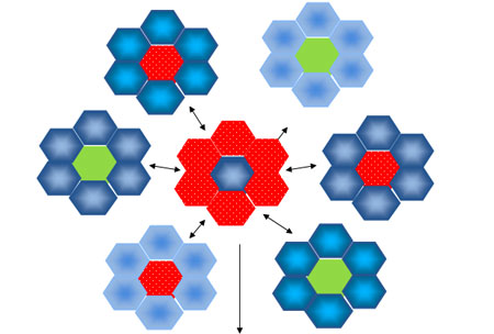 Соединение сот
