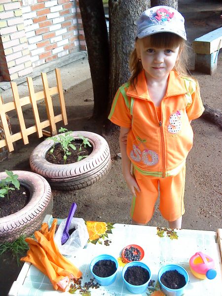 Проект &laquo;Условия роста подсолнуха&raquo;