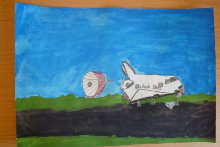 Рисунки Миши Скрипко