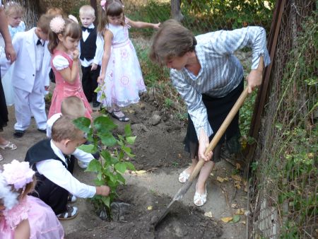 Сирень 45-го