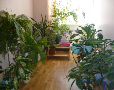 5. Уголок экологии