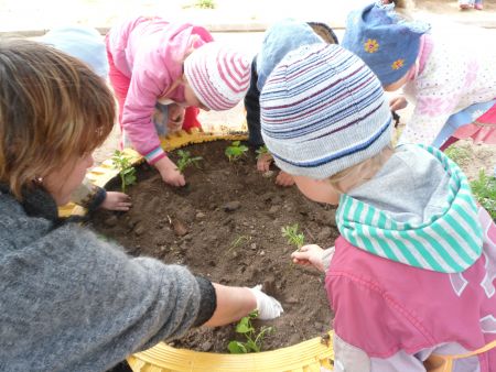 «Красота спасёт мир»