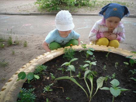 «Красота спасёт мир»