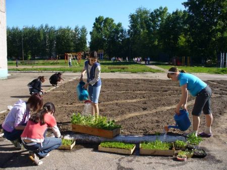Художественное оформление школьной клумбы