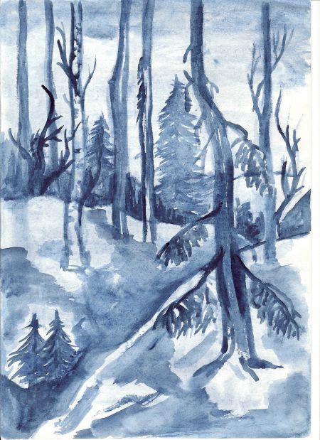 2. Сумерки в зимнем лесу.