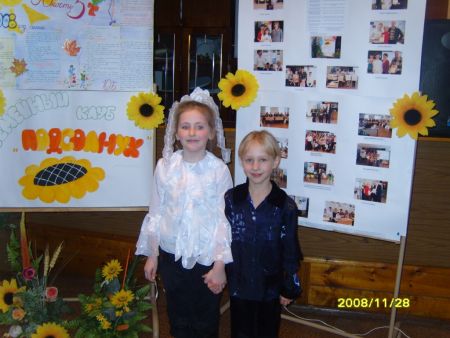 2. Милые подсолнушки