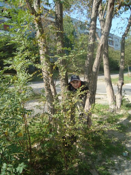 Фото 1. «Давайте поиграем в прятки».