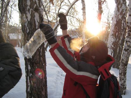 3. Развешивание кормушек на территории школы