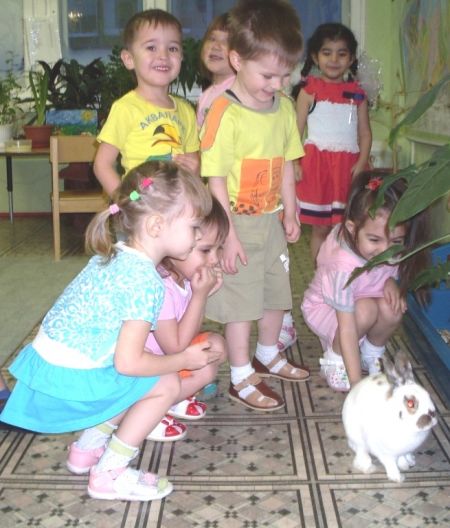 4. «В гостях у Пушинки»