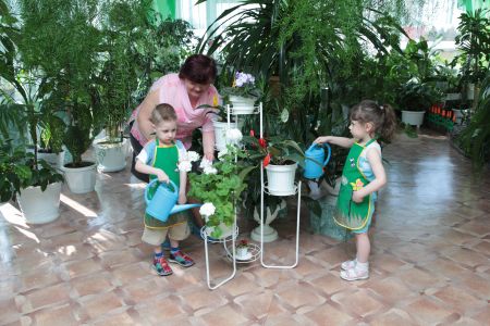  2.  «Полив цветов»