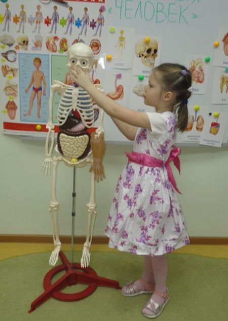 1. Рассказы детей «О чем знаешь, расскажи»