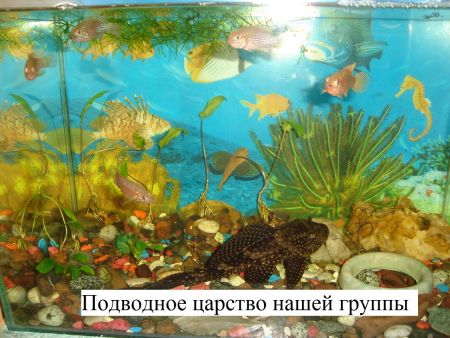 Подводное царство нашей группы.
