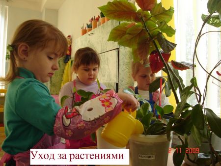 Уход за растениями