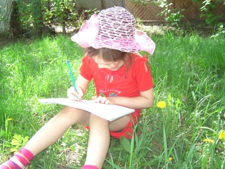 4. Сделаем выводы и зарисуем