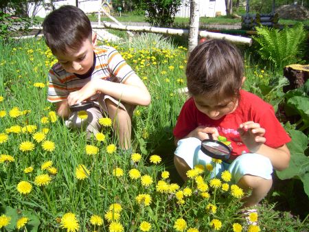 3. Мы &ndash; травознаи. Рассмотрим каждый лепесток