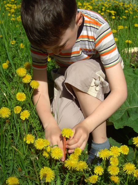 1. Не торопись сорвать, подумай