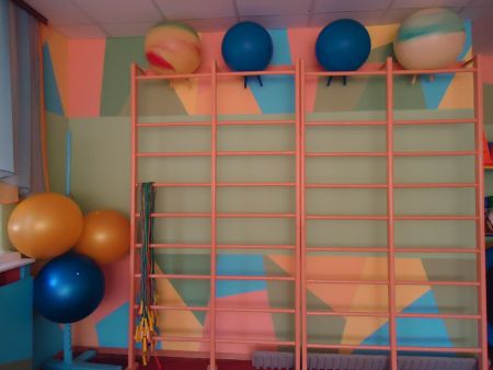 1. Наш физкультурный зал