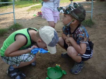 3. А где у жука усики?