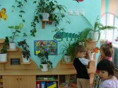 Любят поиграть