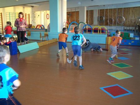 Спортивная игра – флорбол