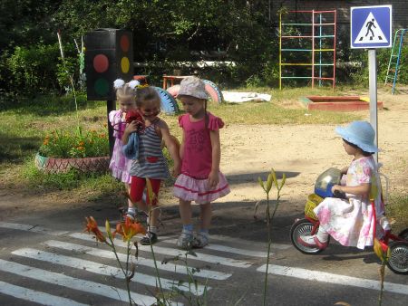 Фото 3. По пешеходному переходу