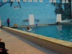 Незабываемая поездка в Утришский дельфинарий