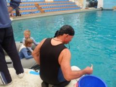 Незабываемая поездка в Утришский дельфинарий