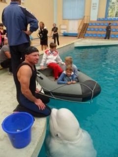 Незабываемая поездка в Утришский дельфинарий