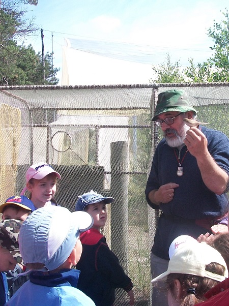 2. Знакомство с пернатым другом