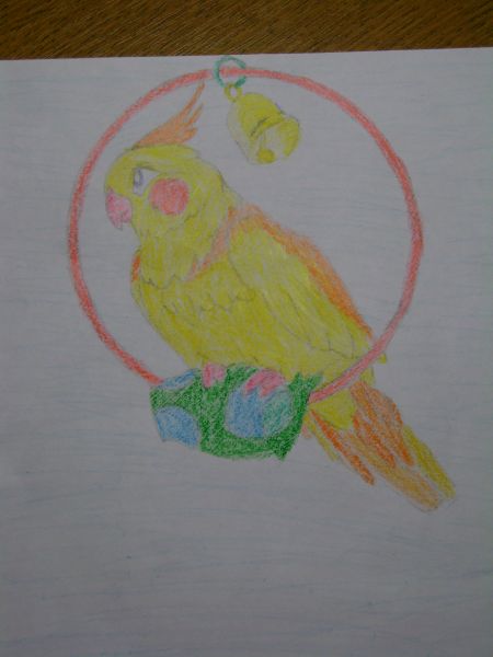 Рисунок Мотовой Екатерины