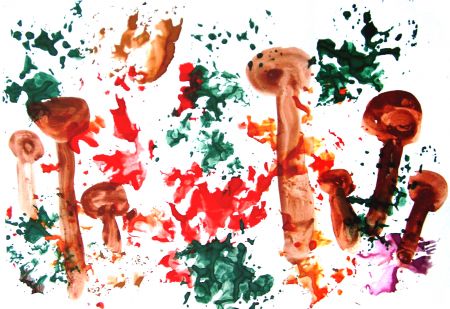 Грибы играют в прятки