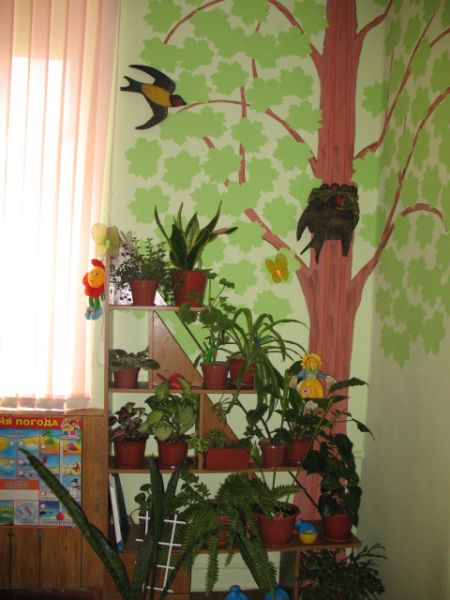 3. Уголок природы. 3. Уголок природы. Наши нежные цветы распускают лепестки