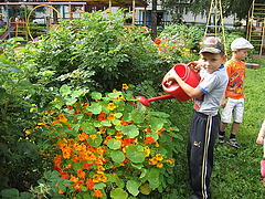 Самая чудесная пора в году