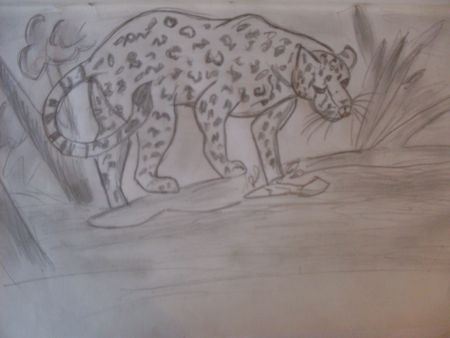 Гепард на водопое