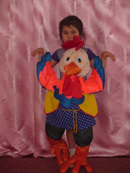 Фото 4. Петушок-золотой гребешок.