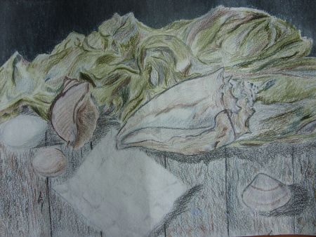 Рисунок 1. &laquo;Натюрморт с ракушками&raquo;