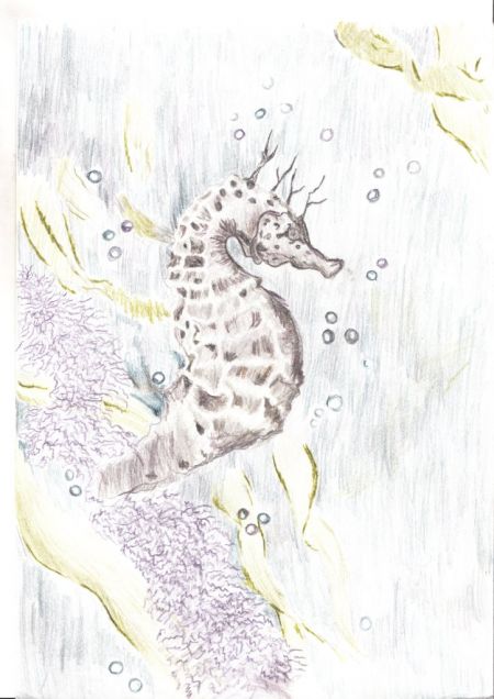    Рисунок 2. &laquo;Морской конек&raquo;