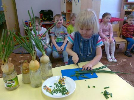Фото 3. Пора готовить зелень для обеда под руководством старших