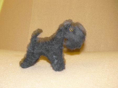 Кери блю терьер &laquo;Афоня&raquo;