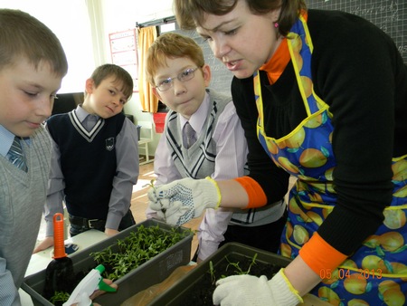 Процесс пикировки