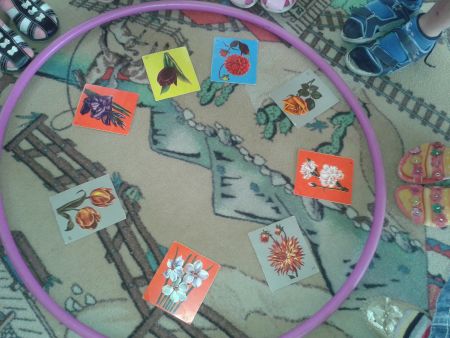 Фото 4. В обруче картинки цветов.